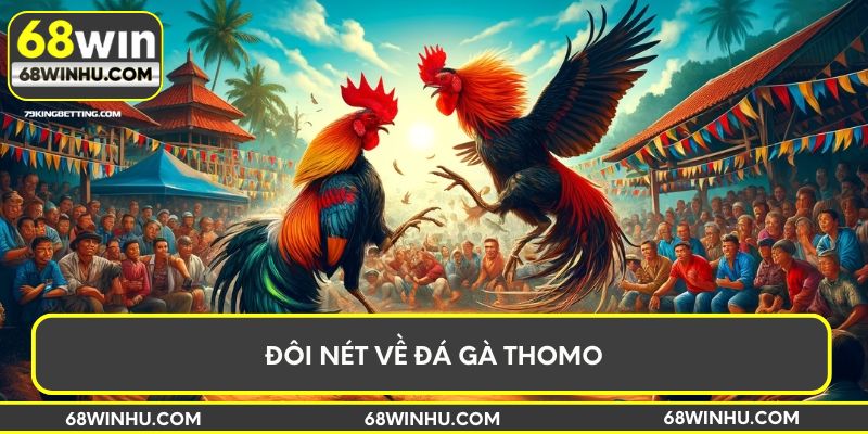 Đôi nét về đá gà Thomo