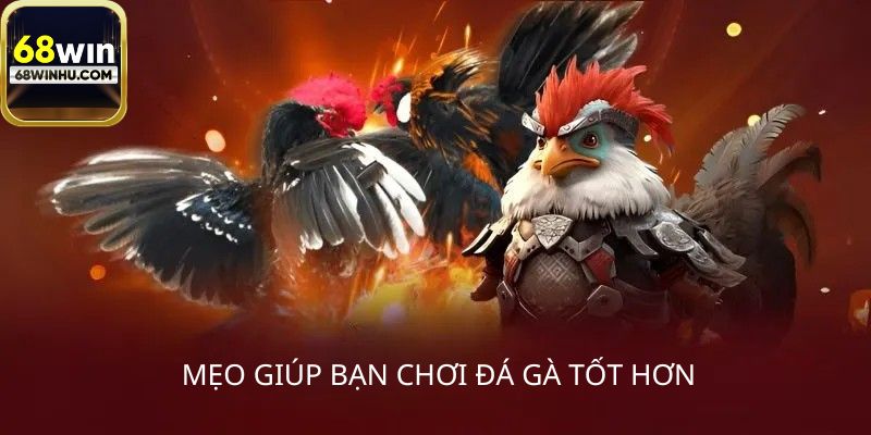 Mẹo chiến thắng tựa game đá gà 68win