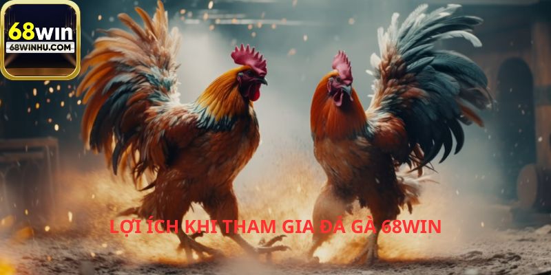 Người chơi sẽ nhận được lợi ích khi tham gia đá gà