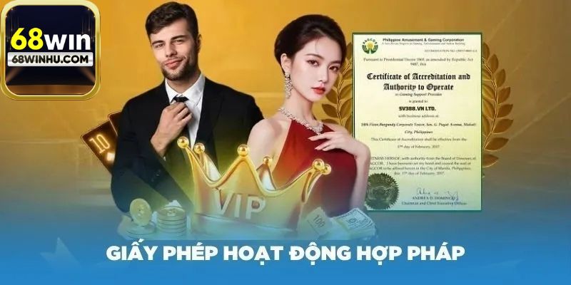 Quy trình hoạt động của giấy phép hoạt động