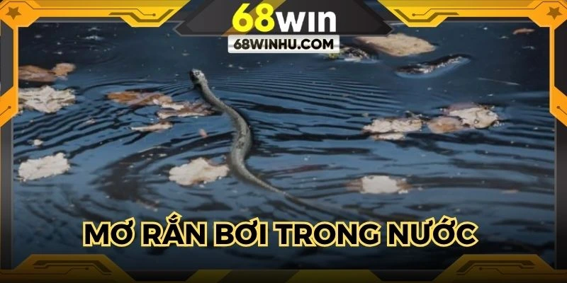 Chia sẻ ý nghĩa chiêm bao thấy rắn bơi trong nước