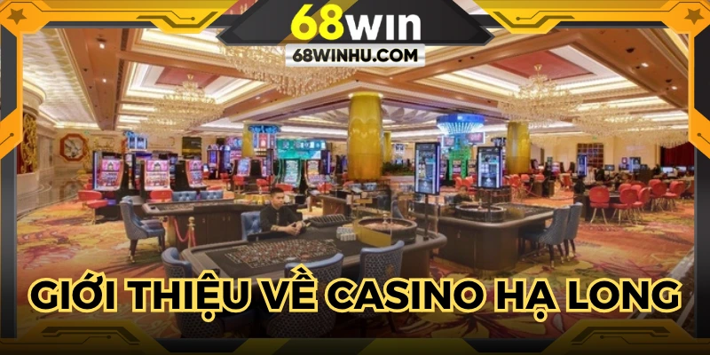 Hơn 10 năm hoạt động thu hút du khách